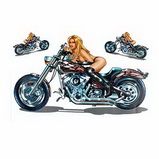 Motorcycle sticker-MS-010