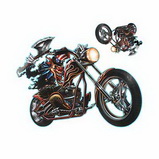 Motorcycle sticker-MS-009